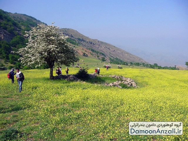 گزارش صعود به تجر گروه دامون انزلی 19 اردیبهشت 1393