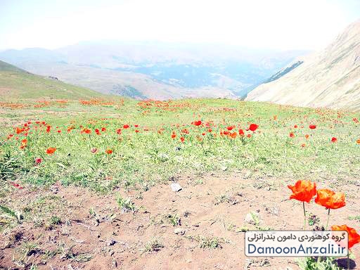 گزارش صعود به تیلار گروه دامون انزلی 30 خرداد 1393
