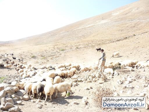 گروه کوهنوردی دامون انزلی